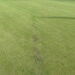 <12th Green drain to be repaired to prevent drying out every summer