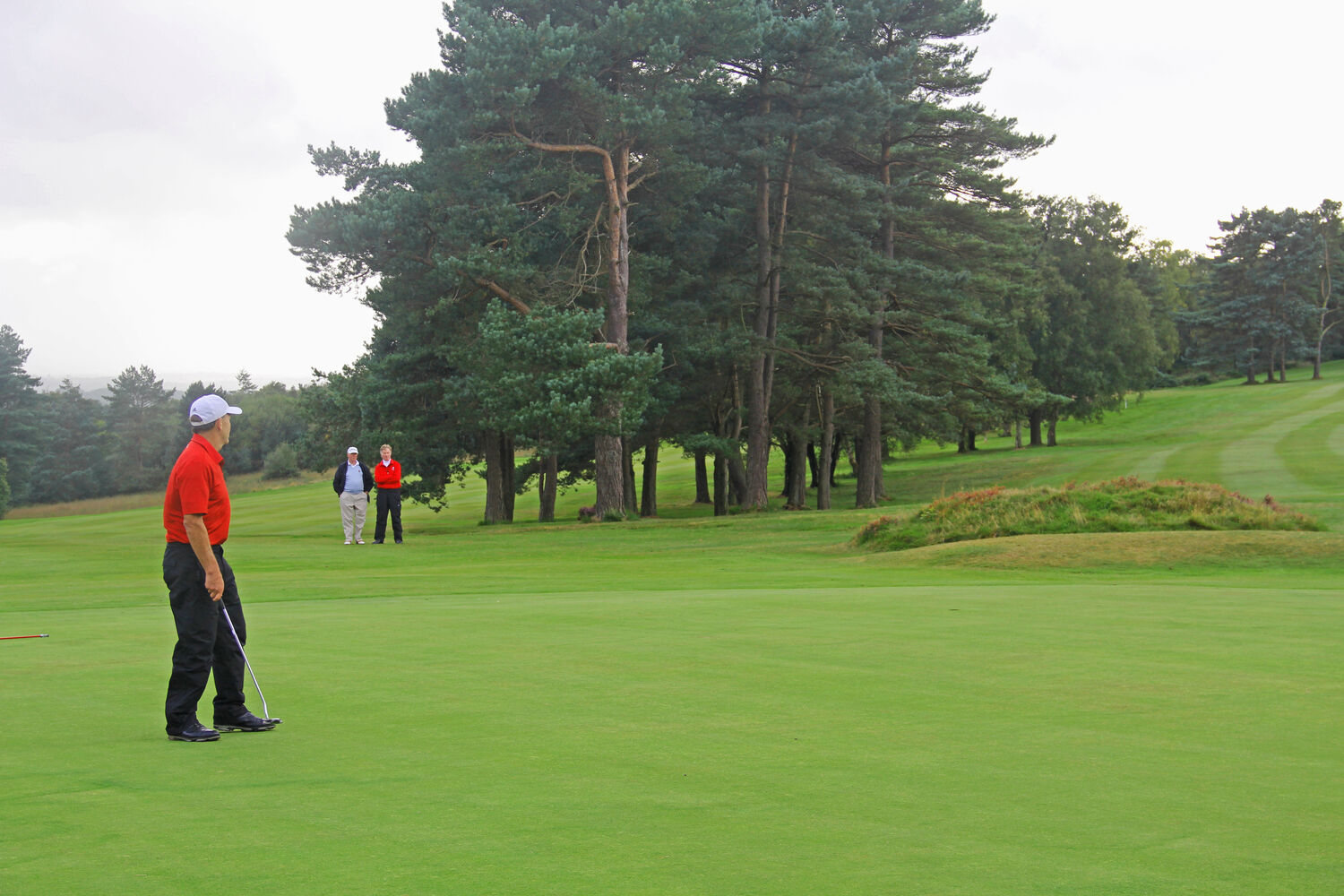 David Niven's last green brdie to win crucial match from 4 down