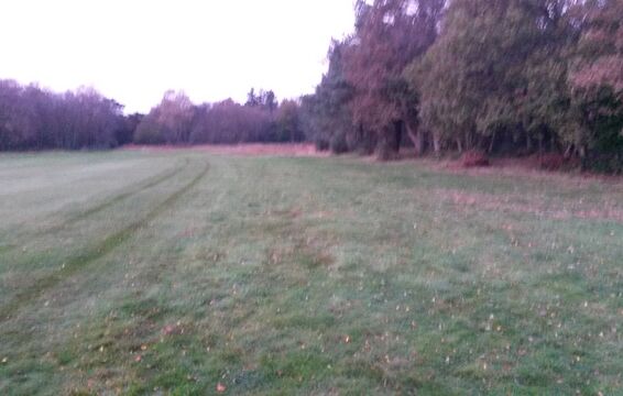 Site prior to turf stripping (apologies for picture quality)