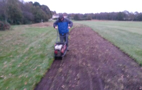 Turf-cutting to expose buried heather seed