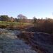 <Frosty morning, new tee in the distance over the cleared Quarry