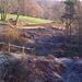 <Sun shining on the new tee