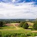 <Royal Ashdown 11th hole