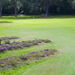 <Piltdown 2nd hole