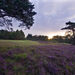<Crowborough Beacon 17th hole