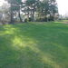 <11th fairway looking back to tee