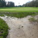 <12th Green rear
