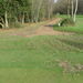 <12th green rear