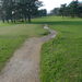 <12th tee too narrow