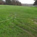 <16th path needs to reach the fairway