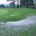 <17th green rear