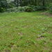 <CBGC 10th Hole l.h.s. - August 2014 - large area of established heather