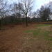 <CBGC - 7th hole l.h.s - January 2012