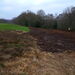 <CBGC - 7th hole l.h.s - January 2012