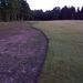<RAFGC - 16th Hole - August 2012 freshly stripped