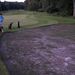 <RAFGC - 16th Hole - August 2012 - newly stripped