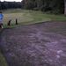 <RAFGC - 16th Hole - August 2012 - newly stripped