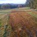 <RAFGC - 16th Hole - August 2014 same area two years on showing vibrant re-establishment